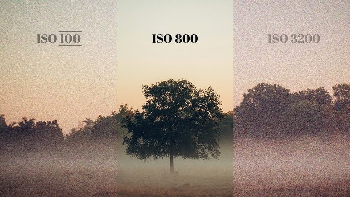 Base ISO